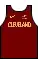 Uniforme de baloncesto