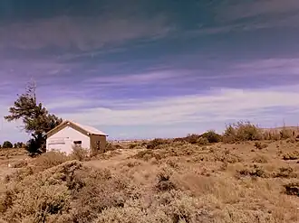 Vista del apeadero Kilómetro 11 desde el terraplén. Todavía sobrevive la vegetación tras el cierre del ramal en 1978.