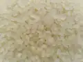 Arroz aromático japonica.