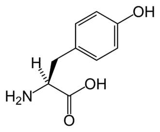 Tirosina