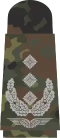 Oberst (Flecktarn)