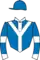 Horse racing silks