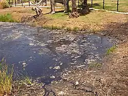 Acceso al pozo principal.