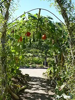Pérgola con verduras.