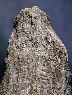 Estela-menhir de Treytel-A Sugiez (Suiza)