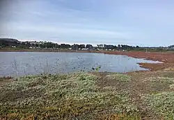 Cuerpo de agua del sector norte del Humedal Laguna Llolleo. Imagen tomada en Julio de 2020