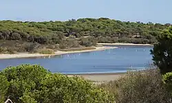 Laguna del Portil