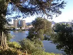Vista a la laguna desde el Campus Tres Pascualas.
