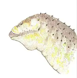 Restauración de la cabeza y el cuello.