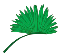 Hoja costapalmada. La parte engrosada en la que se insertan los folíolos es la costa.