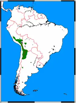 Actualmente se distribuyen por el noroeste de Argentina, noreste de Chile, sureste de Perú y suroeste Bolivia, en los Andes, por todo el oeste de Sudamérica, cerca del Océano Pacífico.