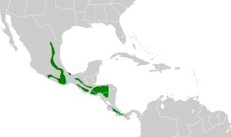 Distribución geográfica del trepatroncos coronipunteado.