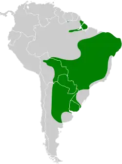 Distribución geográfica del trepatroncos chico.