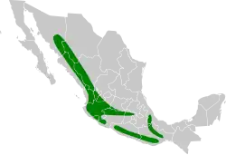 Distribución geográfica del trepatroncos escarchado.