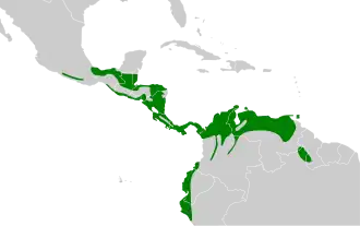 Distribución geográfica del trepatroncos cabecirrayado.