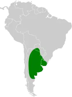Distribución geográfica del coludito copetón.