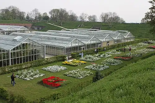 Los invernaderos.