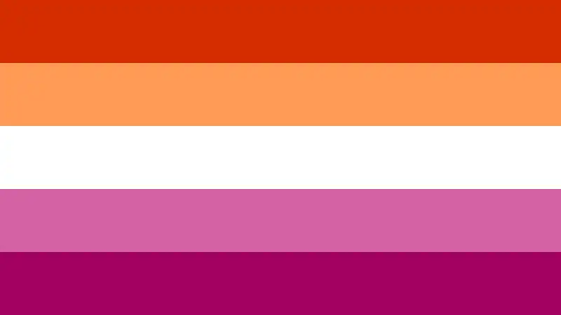 Bandera lésbica[53]​