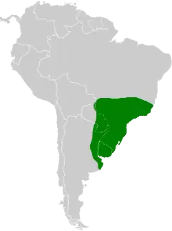 Distribución geográfica del colibrí gargantilla