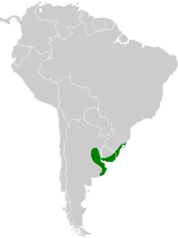 Distribución geográfica de la pajonalera piquicurva.