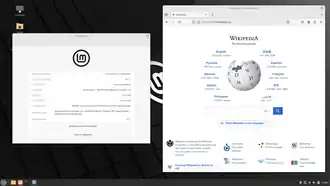 Linux Mint 22 "Wilma".