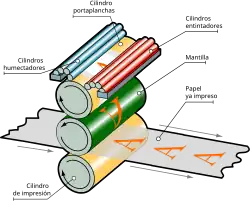 Esquema de funcionamiento de la parte impresora de una tinta (cuerpo) de una rotativa de litografía offset.
