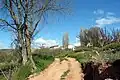 Los Santos (Castielfabib), detalle del antiguo camino de acceso a la localidad y el caserío al fondo.