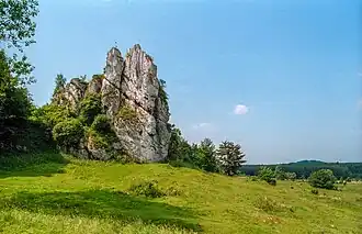 Castillo de Łutowiec