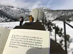 vista del Templo desde escalera de acceso, con cerros nevados, destacando el aspecto devocional