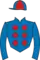 Horse racing silks
