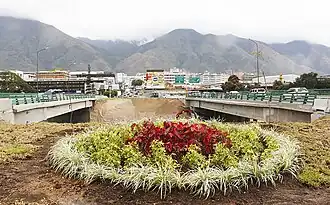 Distribuidor Los Ruices