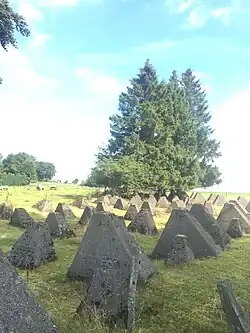 Restos junto al camino del Westwall (línea Sigfrido).