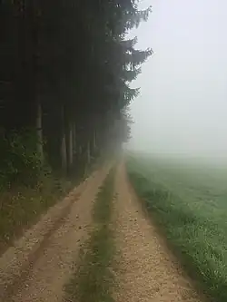 El camino bajo la niebla matinal a la salida de Beialf.