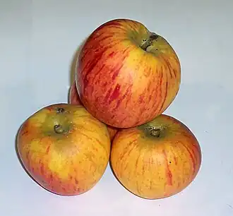Manzanas 'Reine des Reinettes'.