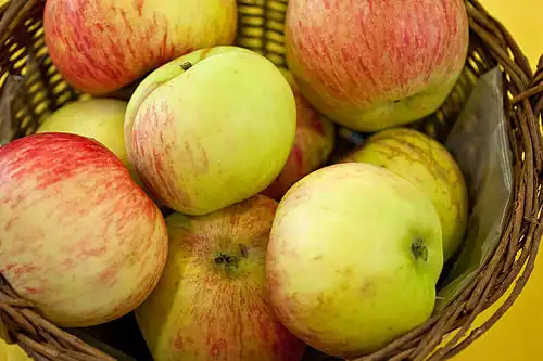 'Dülmener Rosenapfel'.