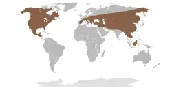 Rango geográfico inferido de Mammut (el rango euroasiático incluye al de Zygolophodon borsoni, cuyo asignación genérica es incierta, y de M. matthewi).