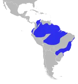 Distribución geográfica del saltarín barbiblanco.