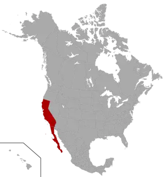 Actual región de las Californias