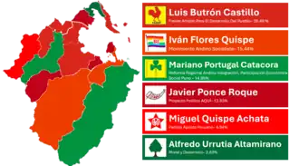 Elecciones municipales de Puno de 2010