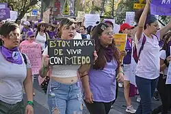 Las prácticas de disciplina congregacional y diversas vulneraciones a los derechos humanos por parte de miembros de los Testigos de Jehová han sido una materia de creciente preocupación por parte de la sociedad civil, así como de activistas de derechos humanos y asociaciones de víctimas de abuso eclesiástico en todo el mundo. En la fotografía, marchas feministas de 2023 en México