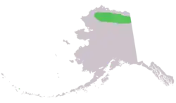 Range of Marmota broweri in Alaska. Its range also extends slightly into Canada.
