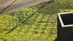Vista desde encima del túnel