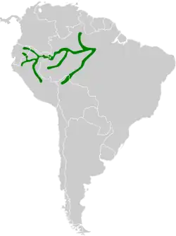 Distribución geográfica del pijuí ventriblanco.