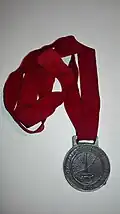 Medalla de finalista edición 2013.