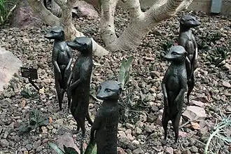 Esculturas de suricatas en los "Meijer Gardens".