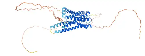 Estructura proteica de la melanopsina.