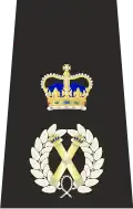 Metropolitan Police Assistant Commissioner of the Metropolis Epaulette