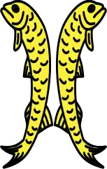 Barbos adorsado de oro