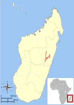 Distribución del lémur ratón de Goodman