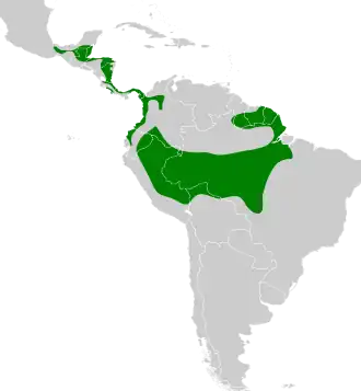 Distribución geográfica del hormiguerito del Quijos.